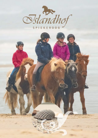frauke strothmann folder titel